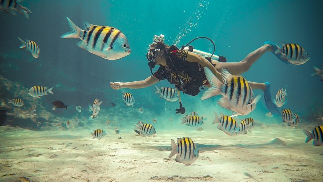 buceo san andres buceo san andres