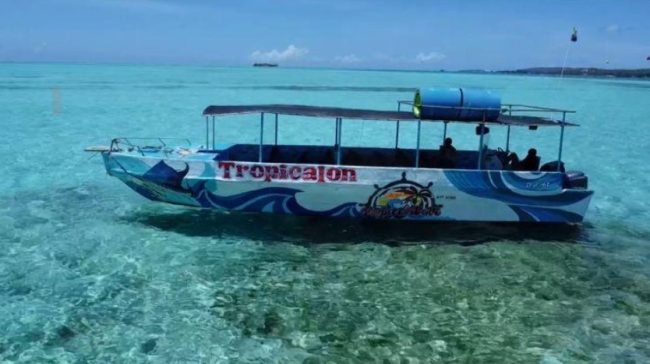 tropicalon tropicalon